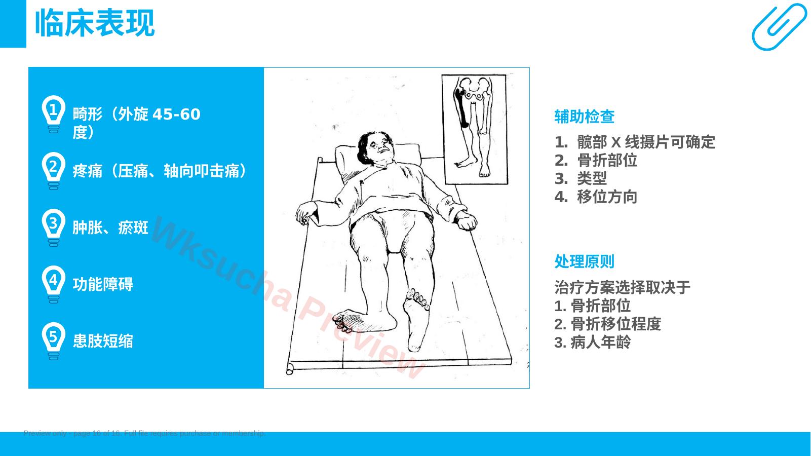 预览第 16 页