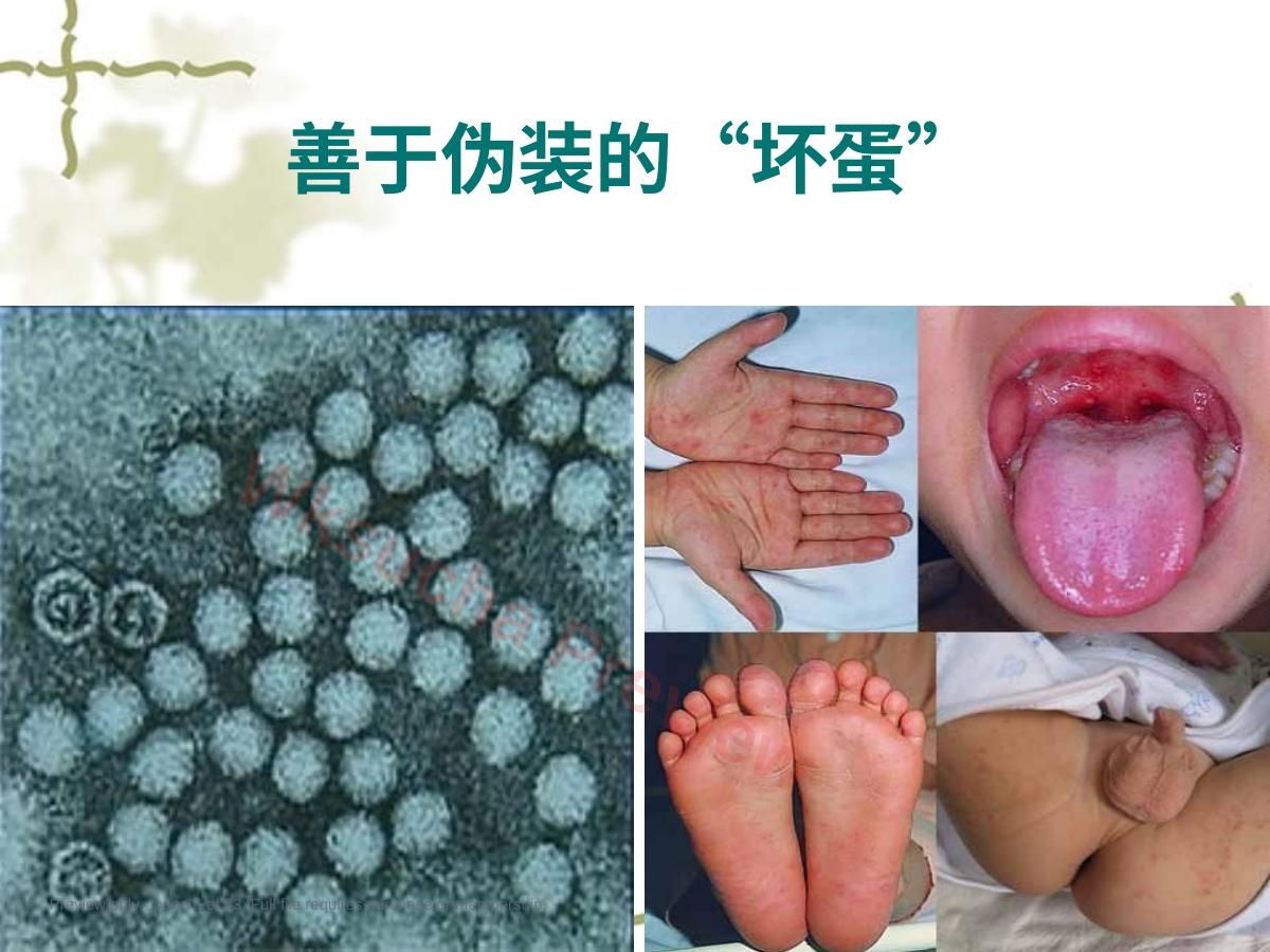 预览第 6 页