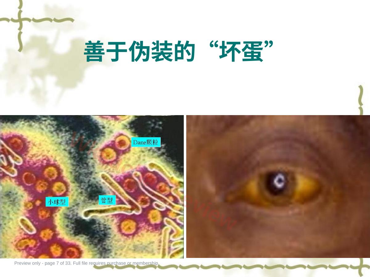 预览第 7 页