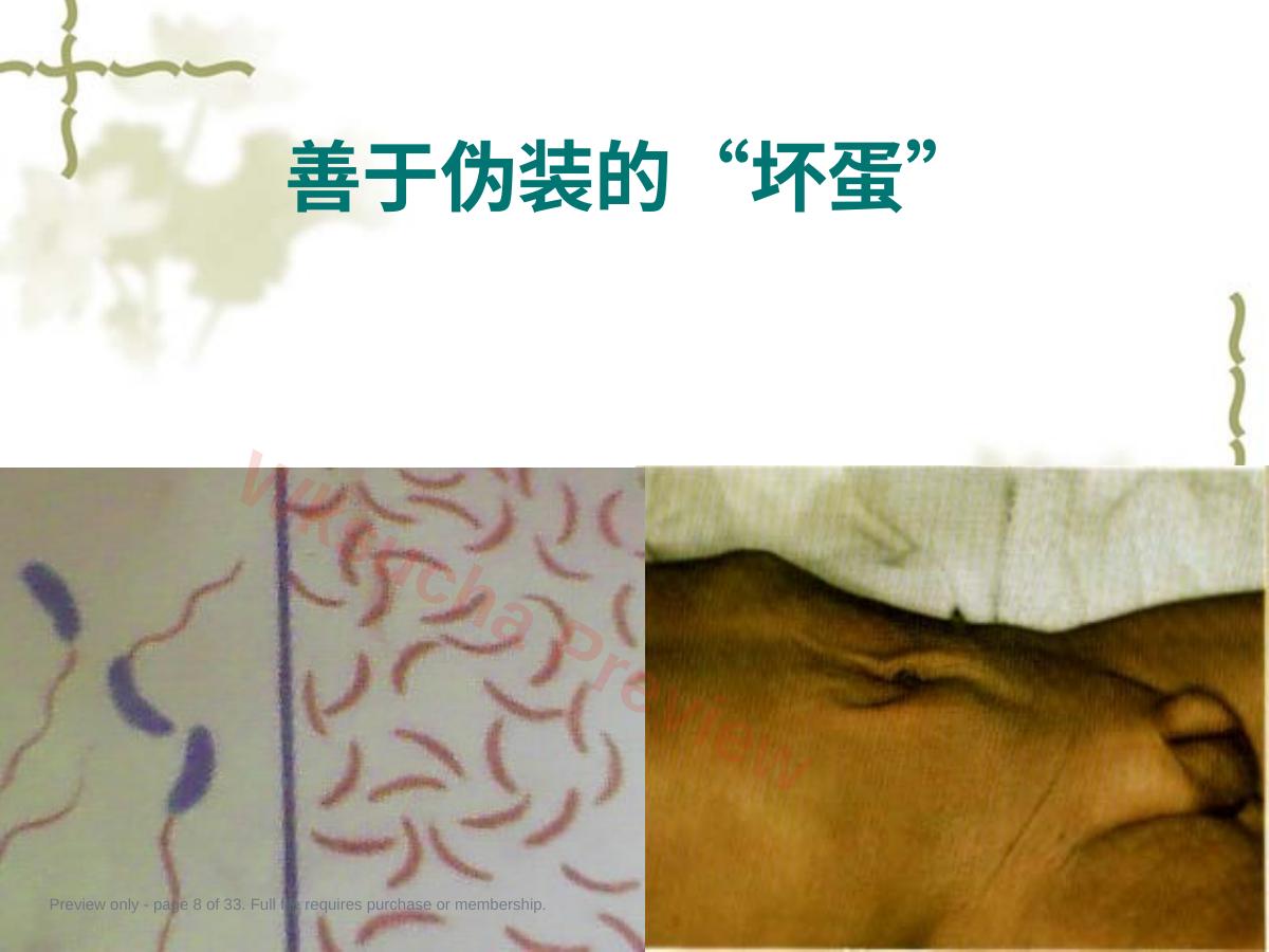 预览第 8 页
