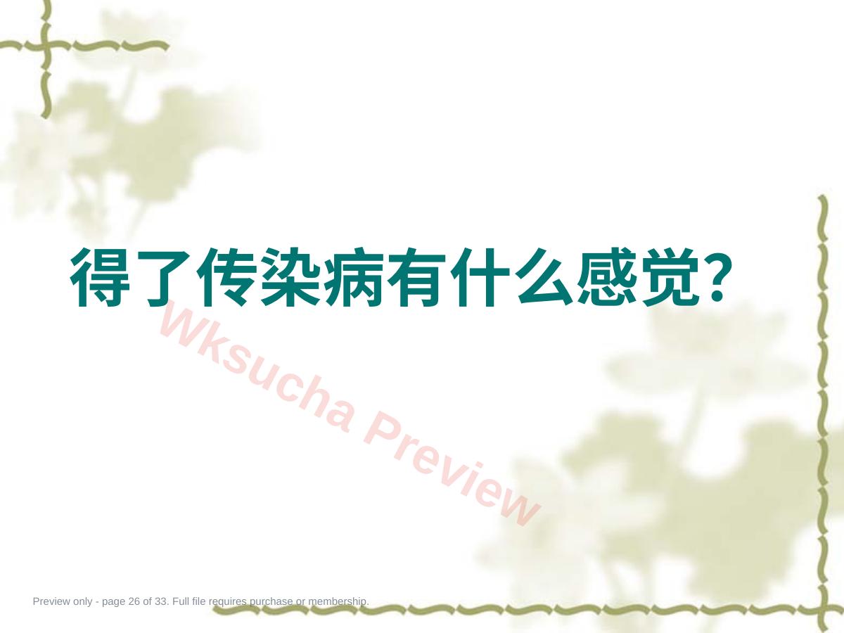 预览第 26 页