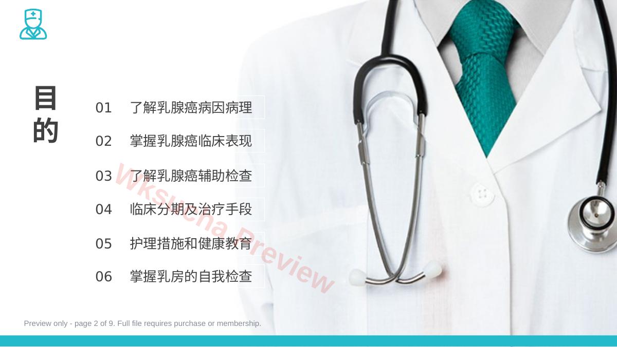 预览第 2 页