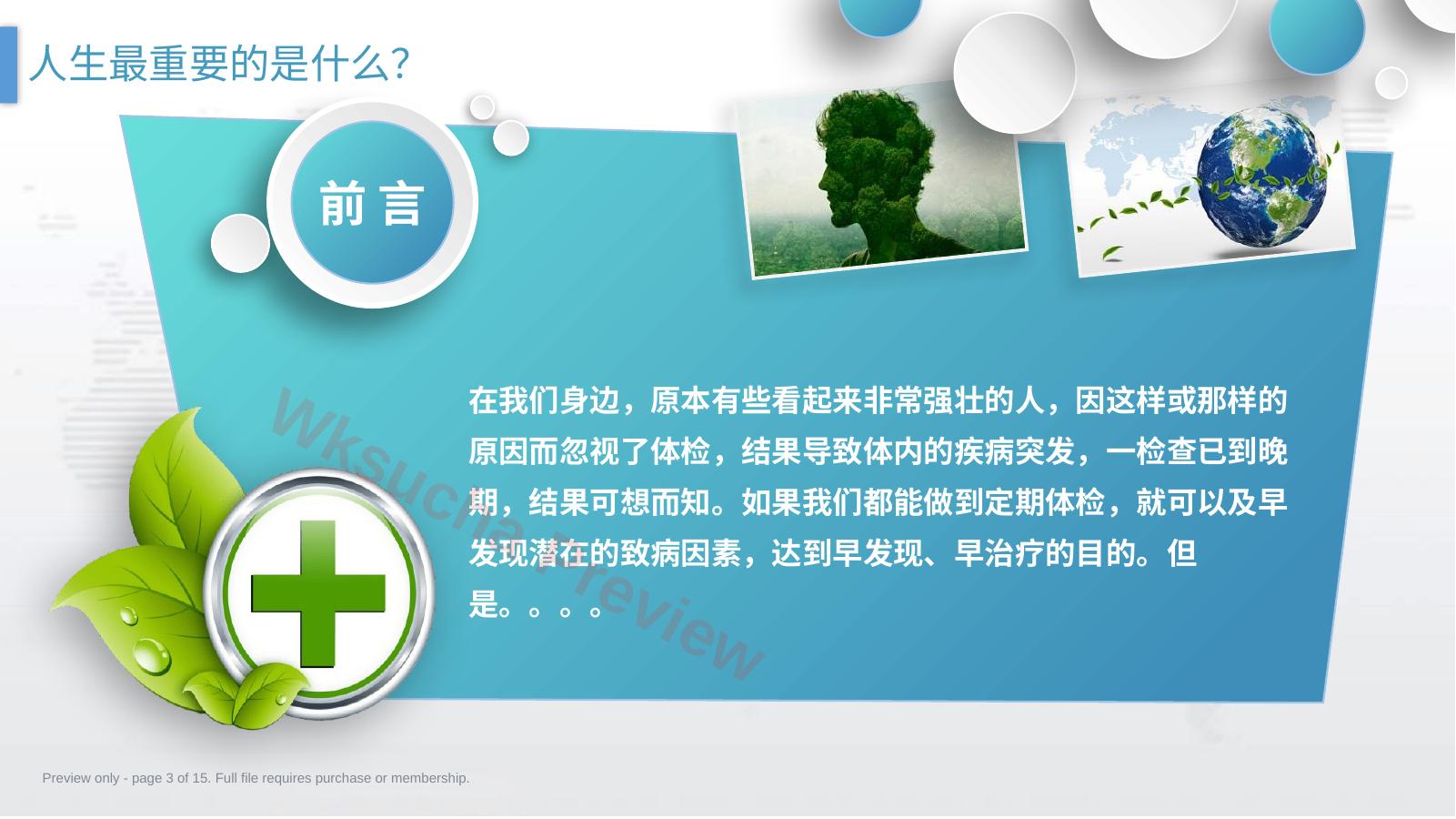 预览第 3 页