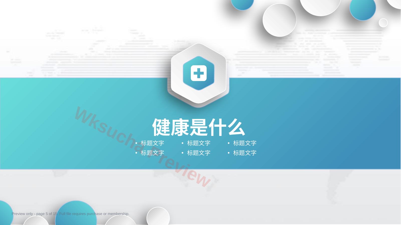预览第 5 页