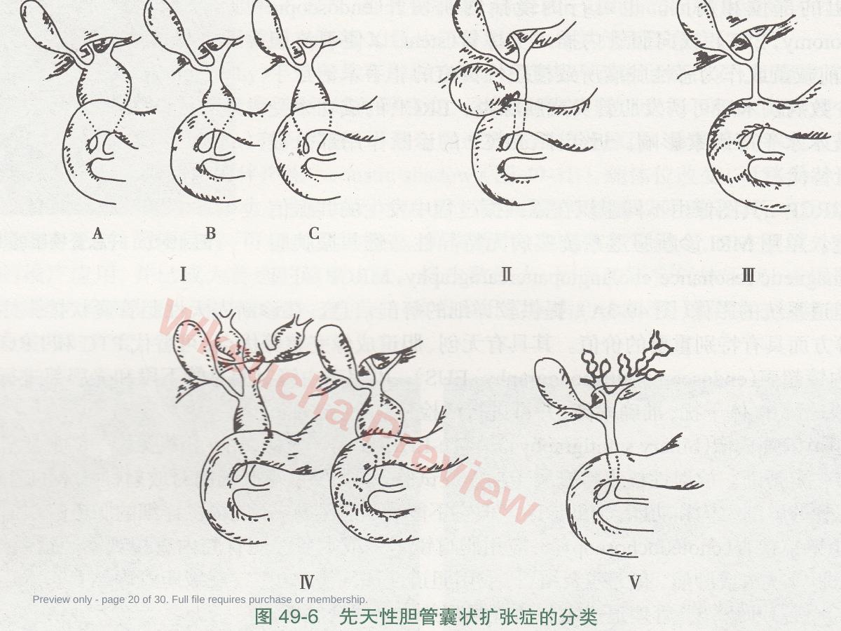 预览第 20 页
