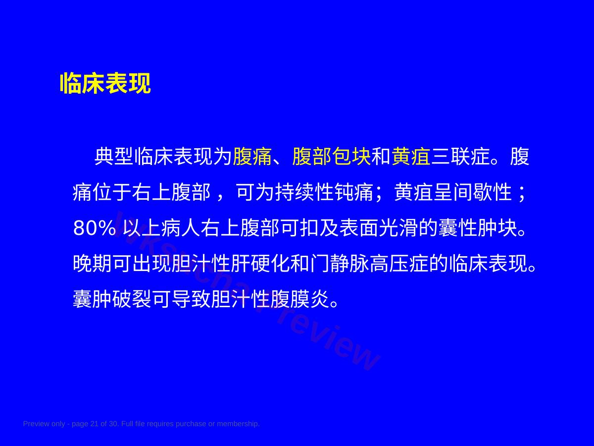 预览第 21 页