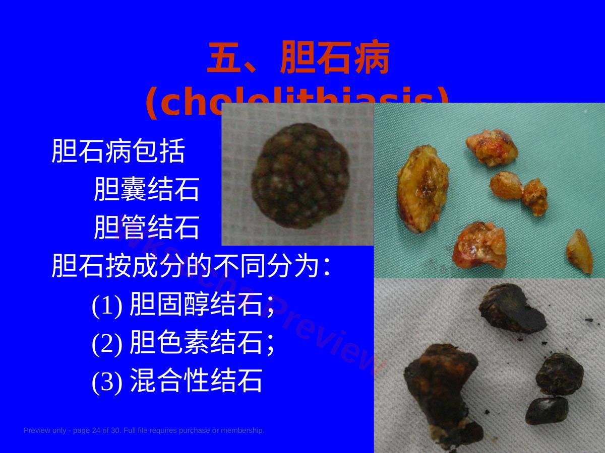 预览第 24 页