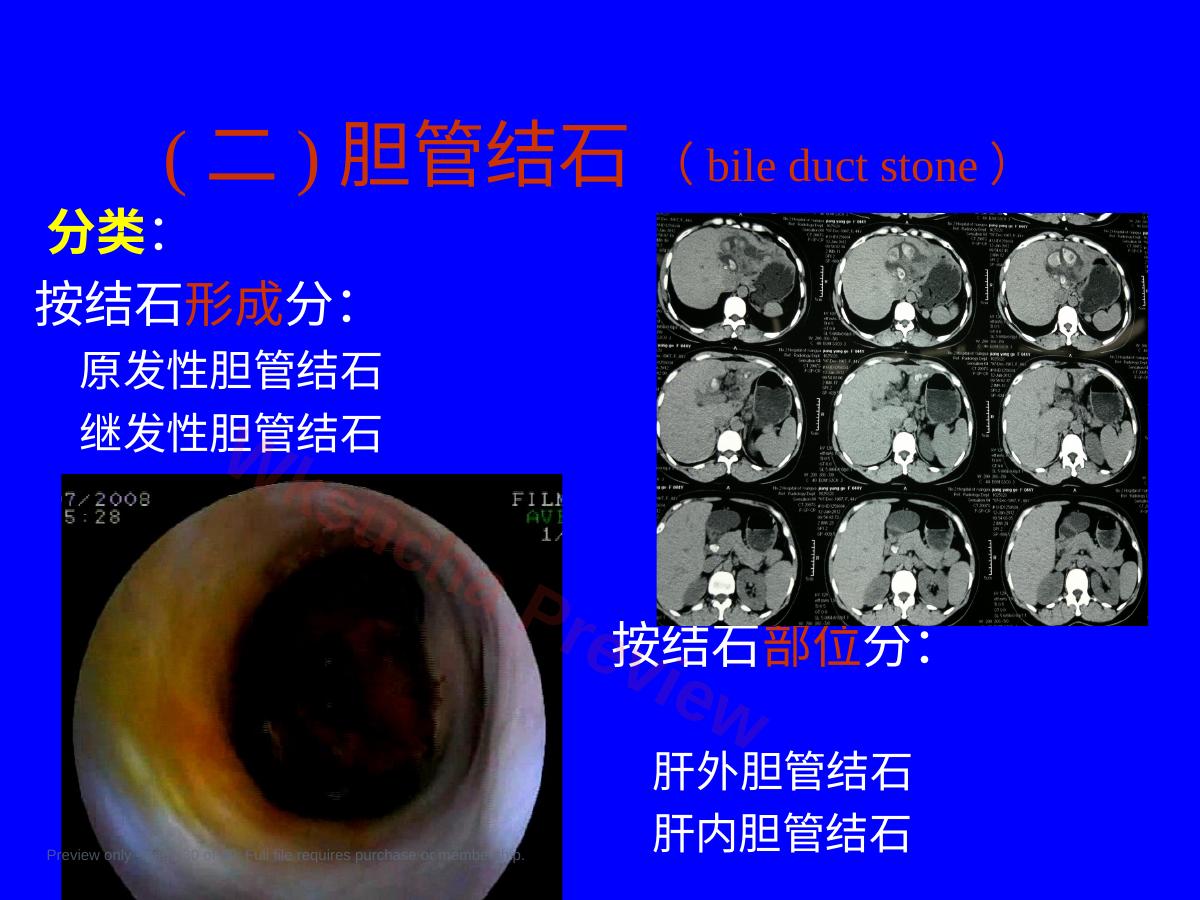 预览第 30 页
