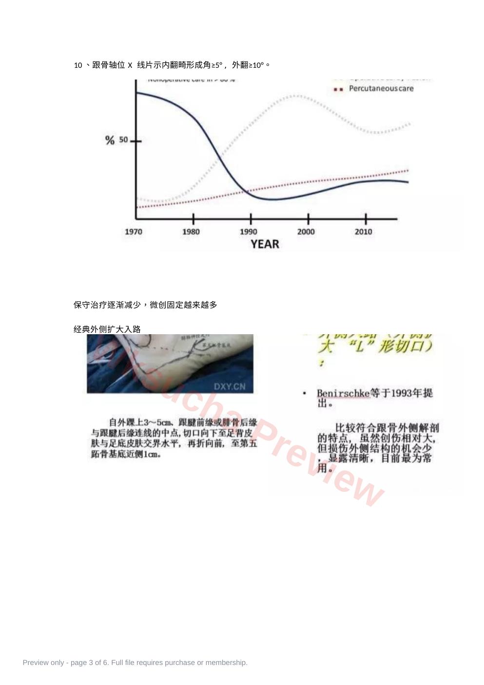 预览第 3 页