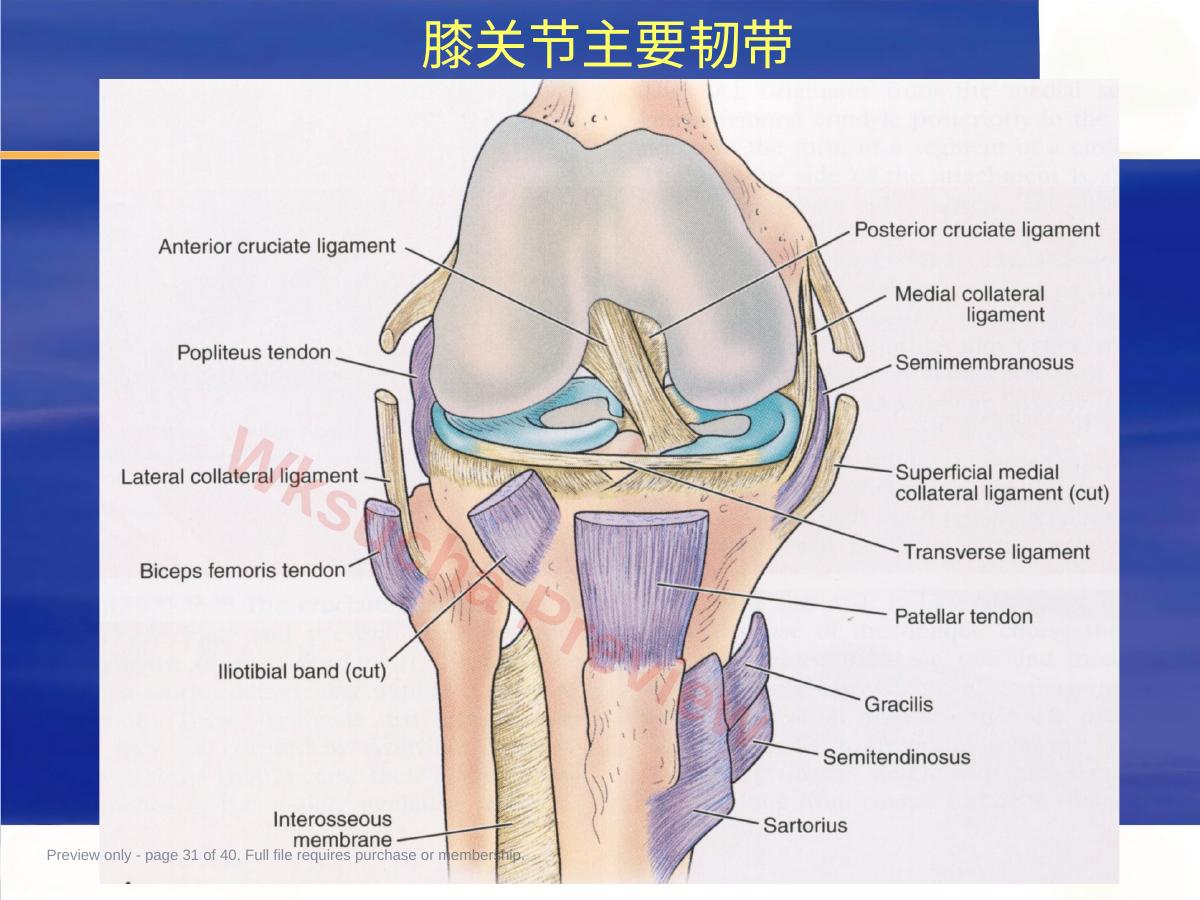 预览第 31 页