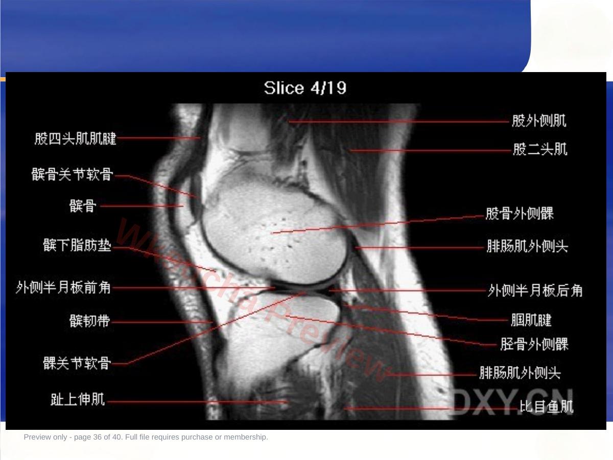预览第 36 页
