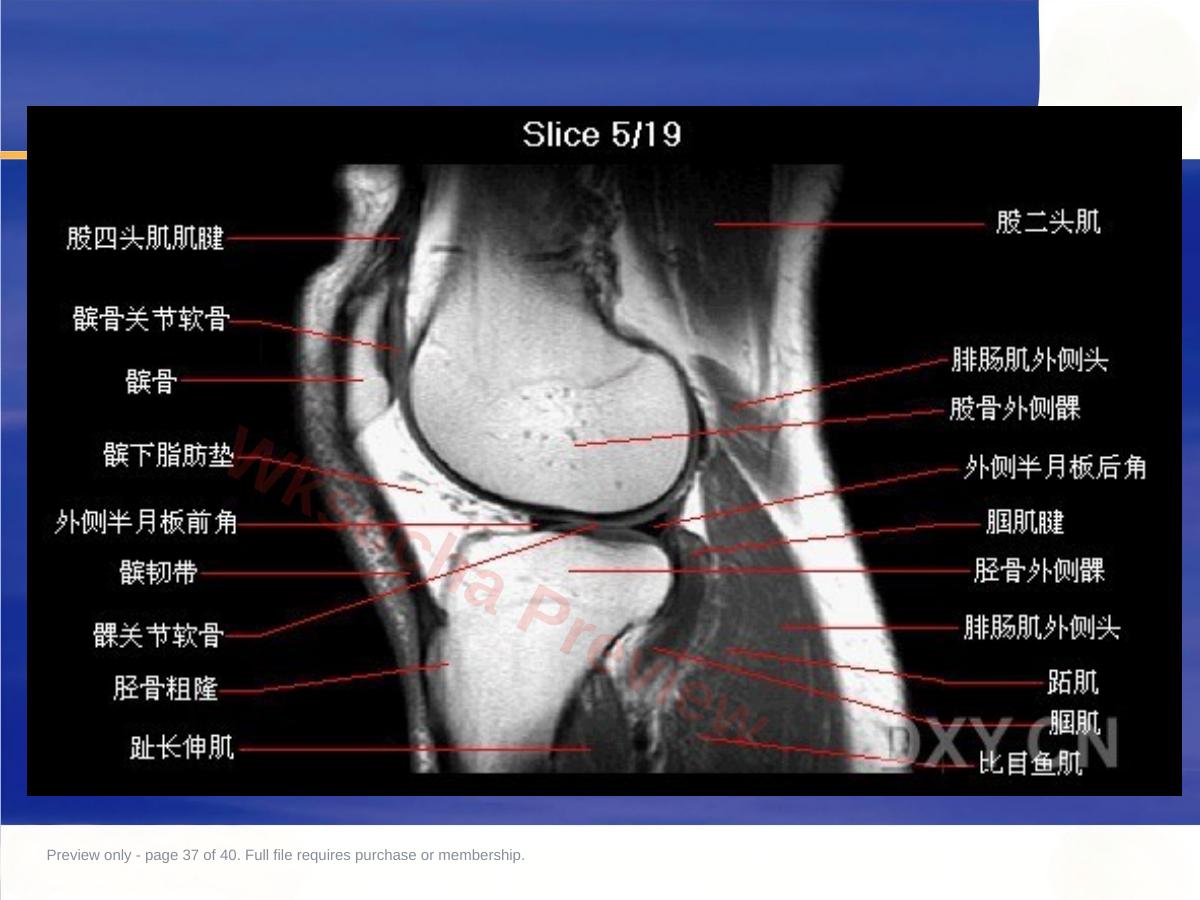 预览第 37 页