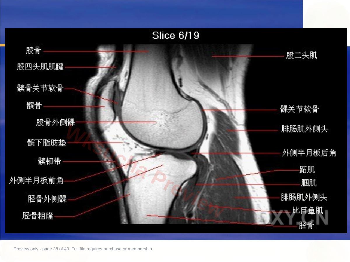 预览第 38 页