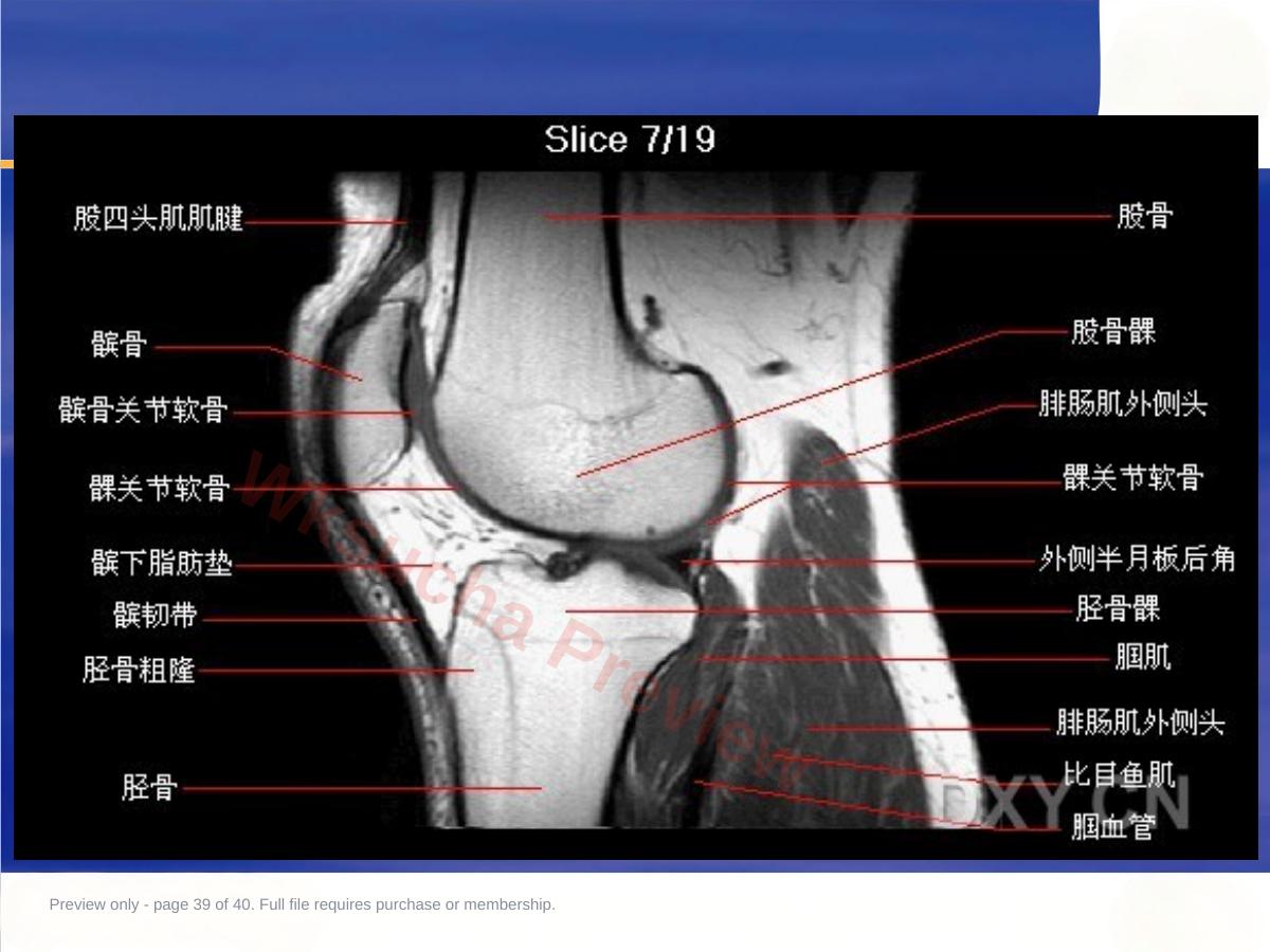 预览第 39 页