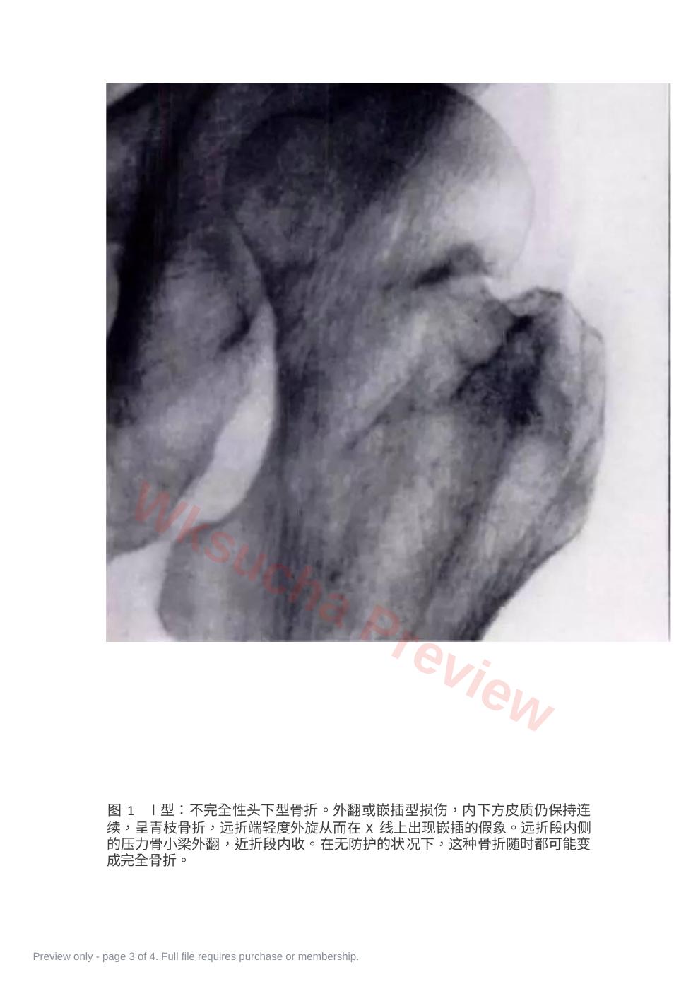 预览第 3 页