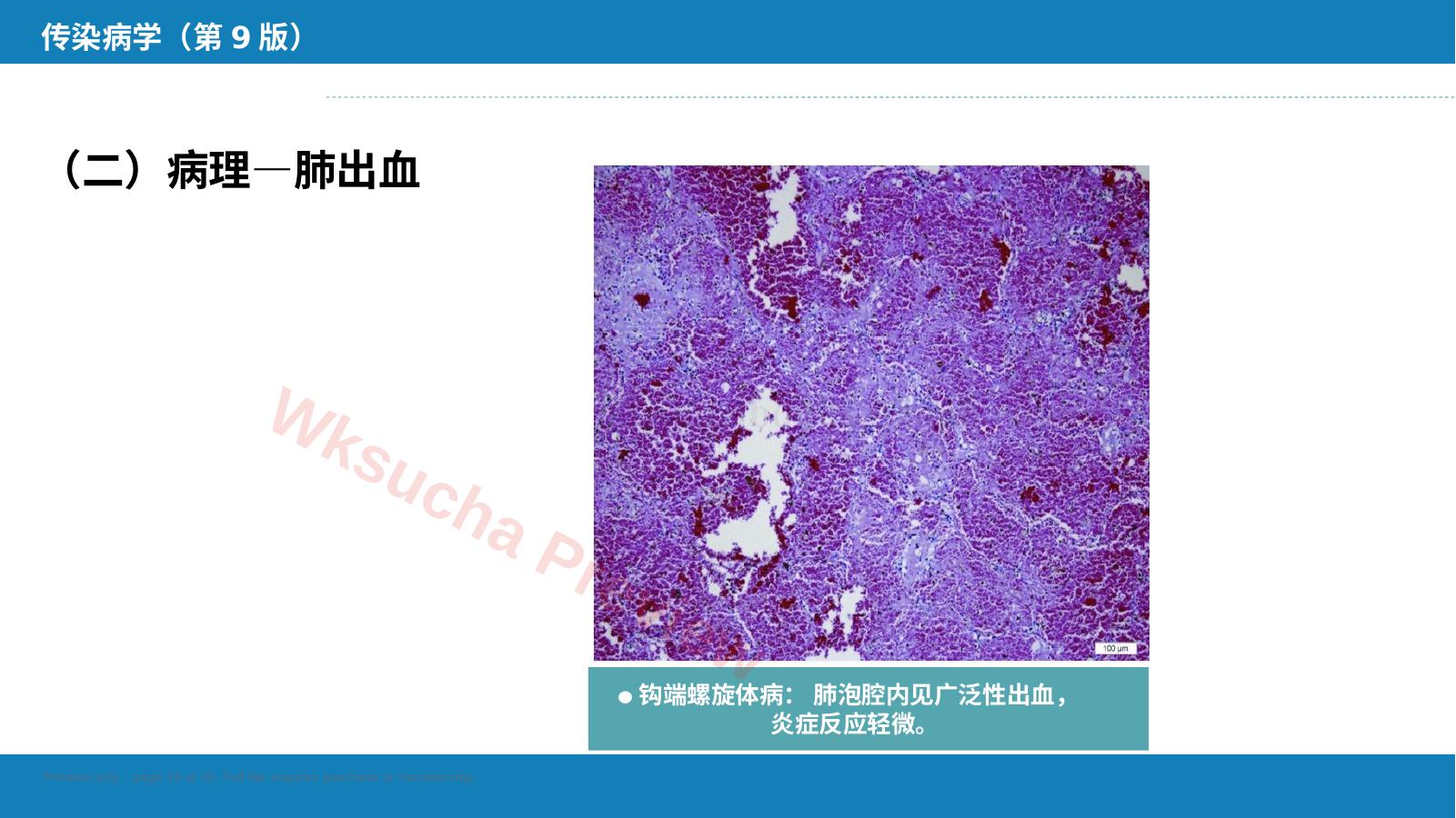 预览第 19 页