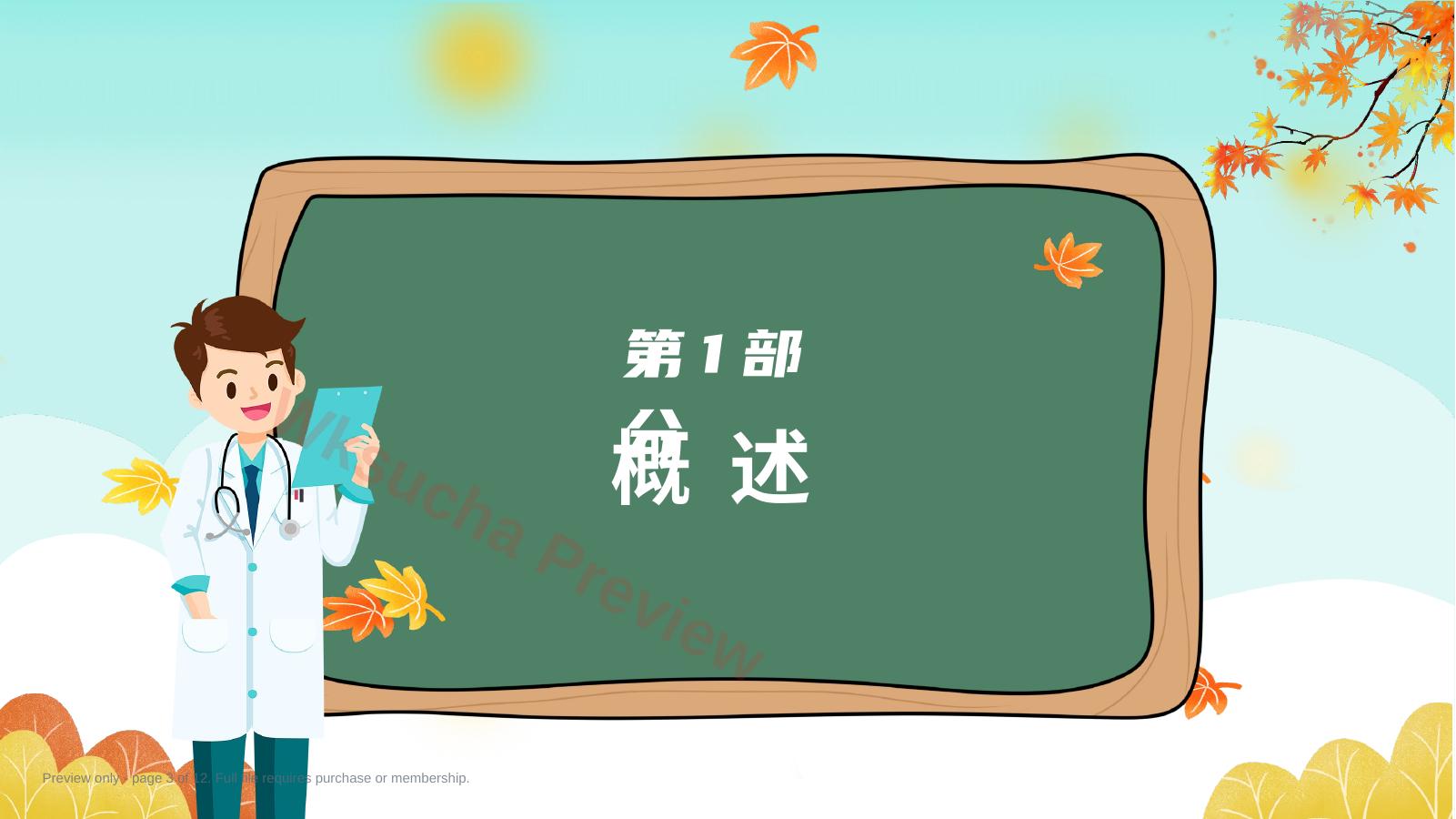 预览第 3 页