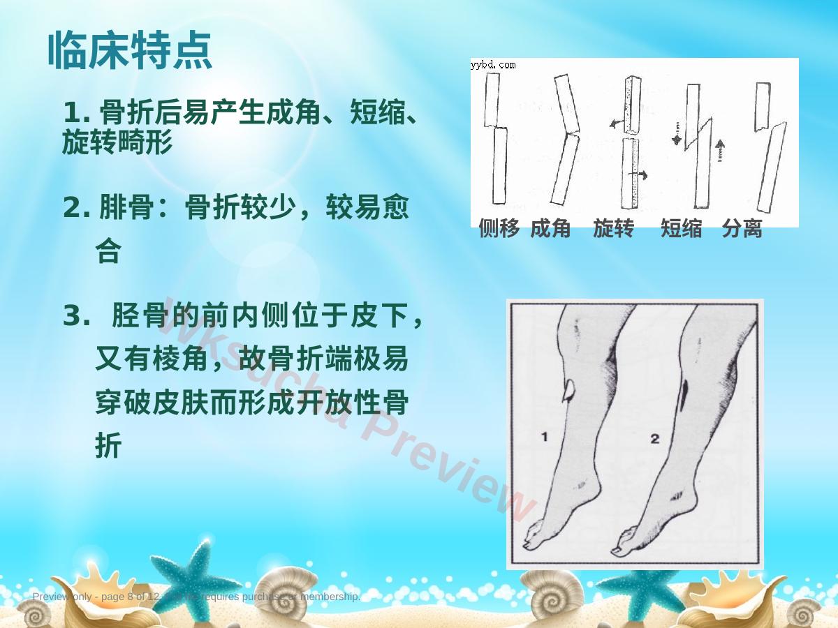 预览第 8 页