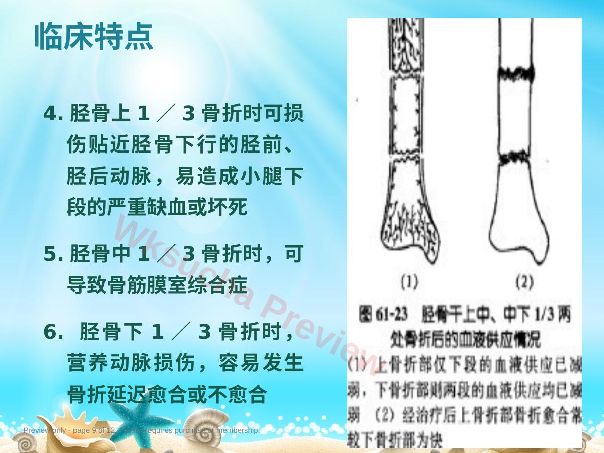 预览第 9 页