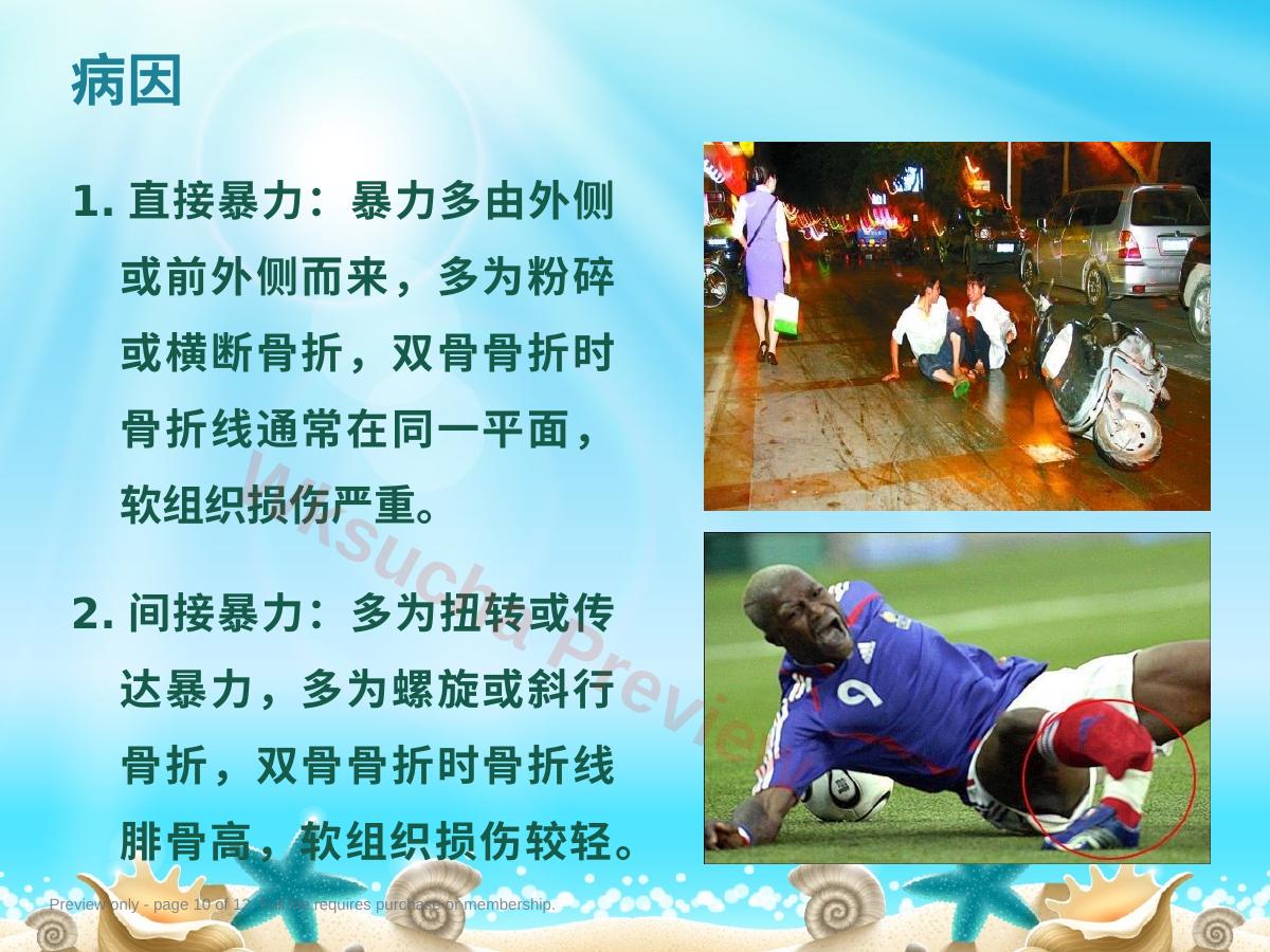 预览第 10 页