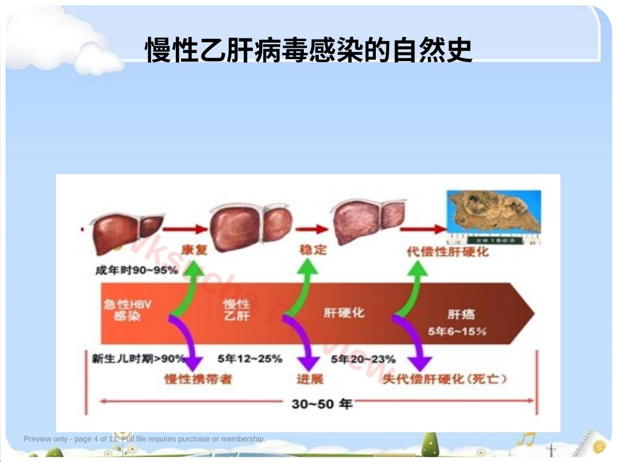 预览第 4 页