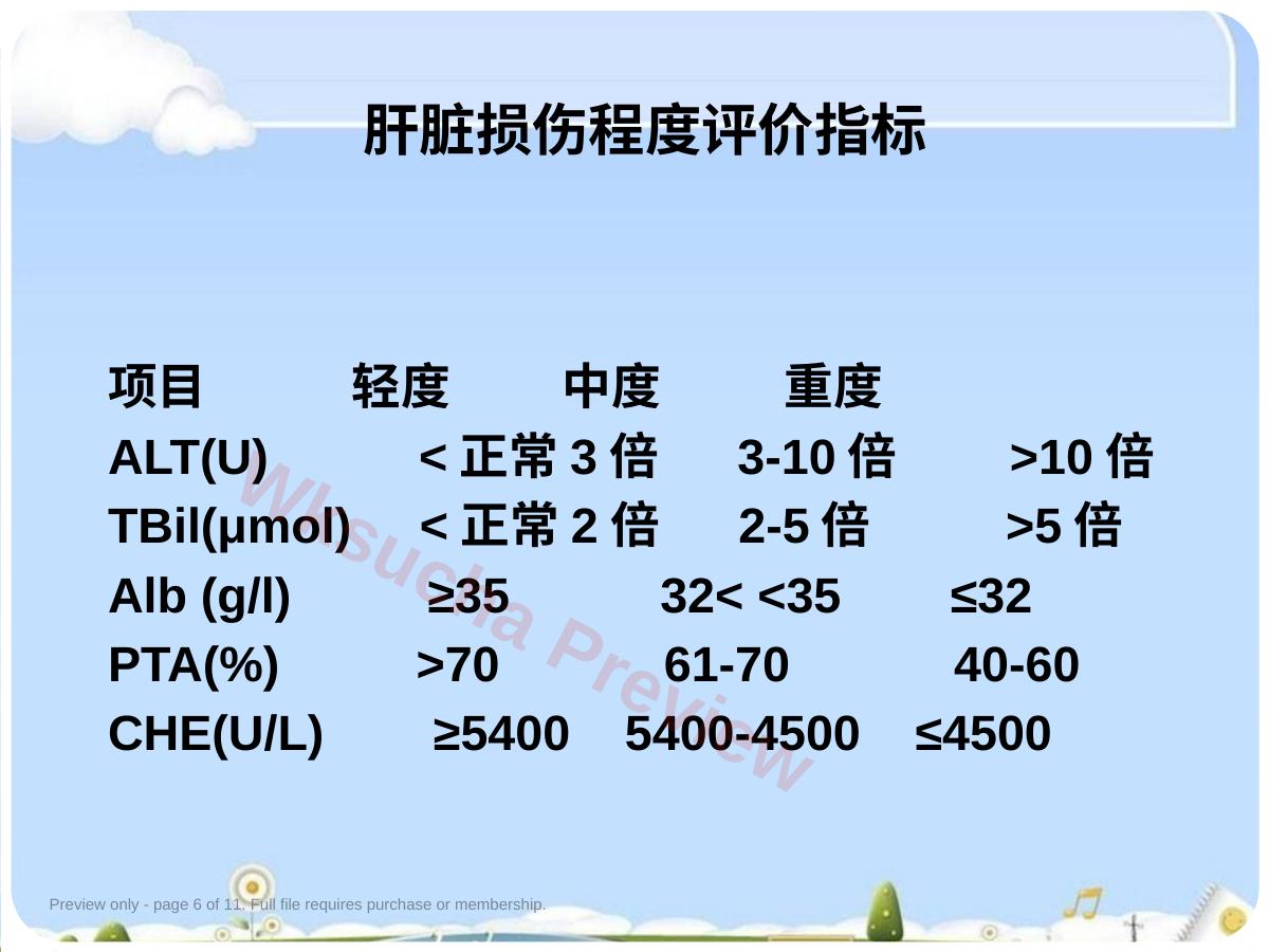 预览第 6 页