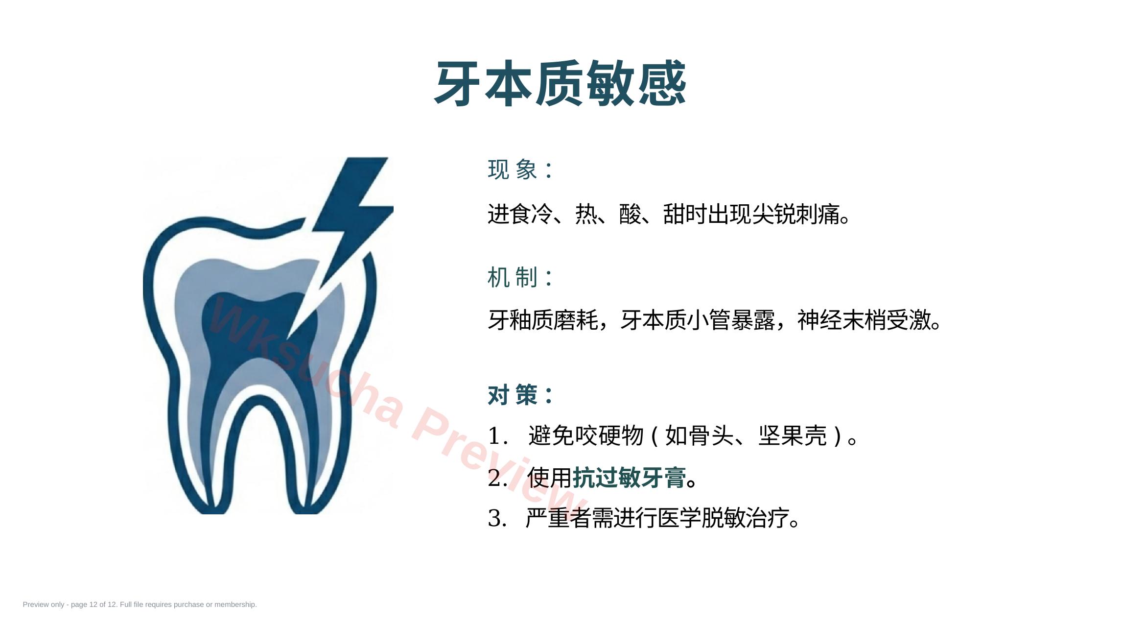 预览第 12 页