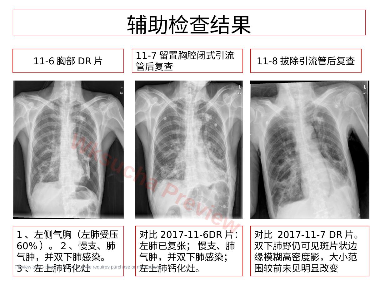 预览第 12 页