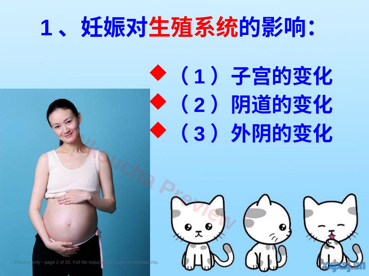 预览第 2 页