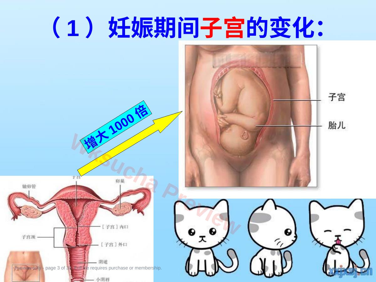 预览第 3 页