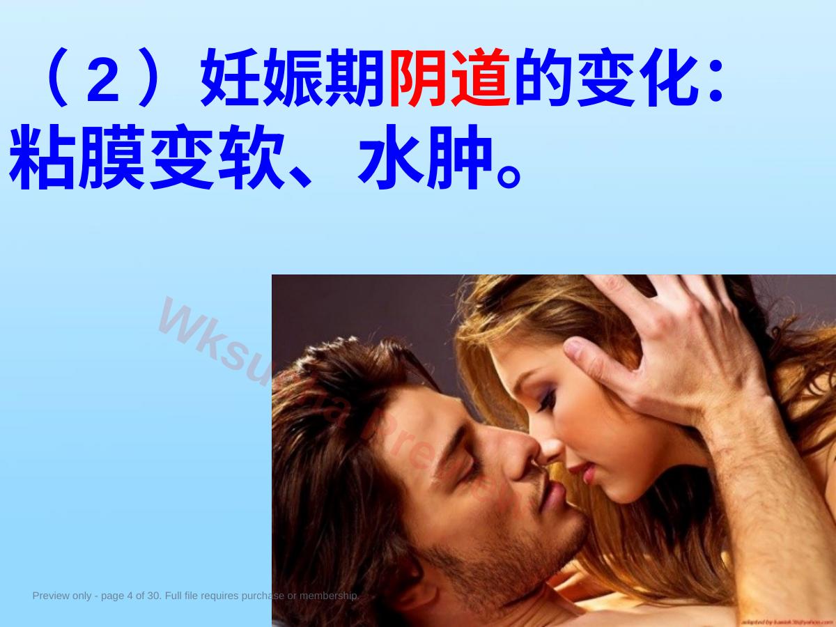 预览第 4 页