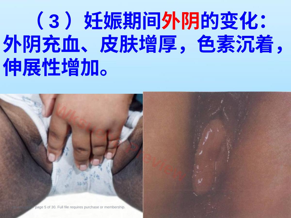 预览第 5 页