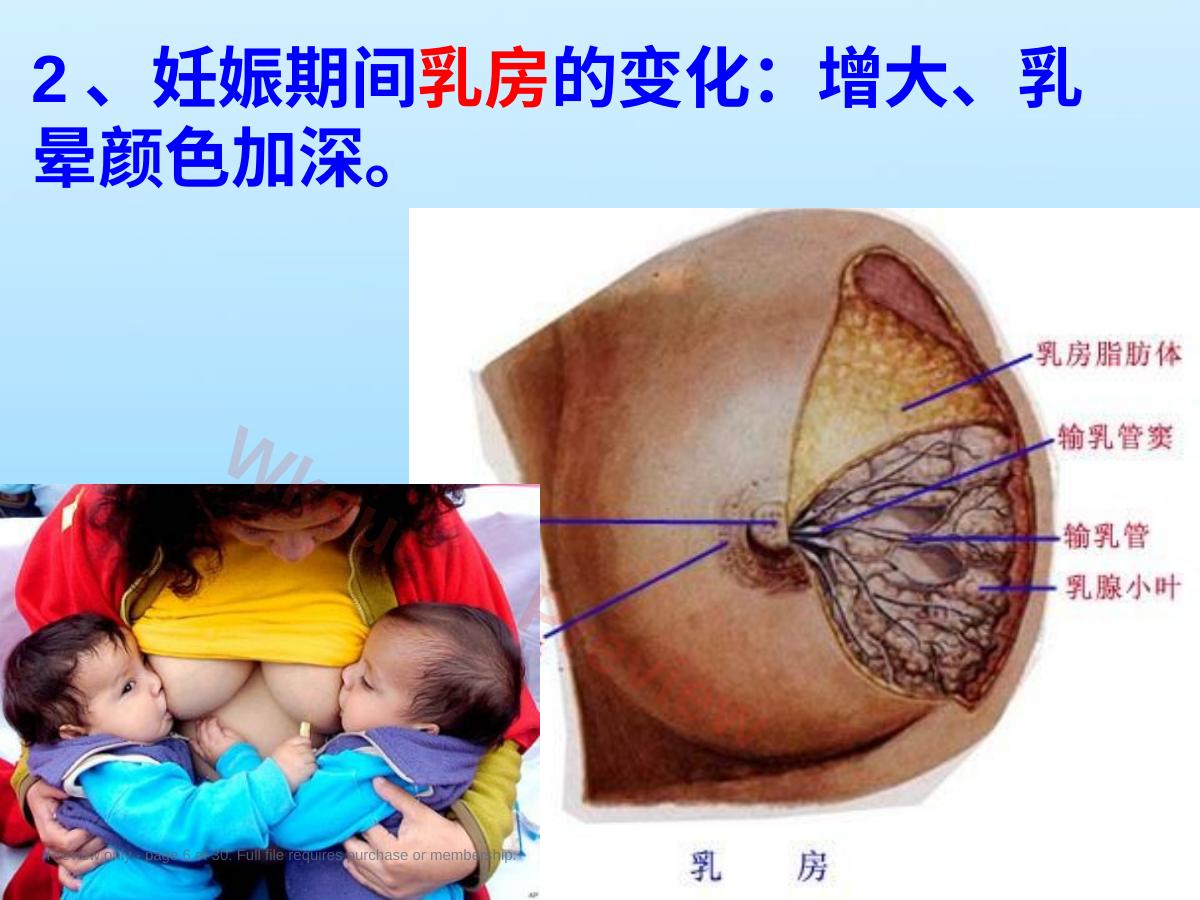 预览第 6 页