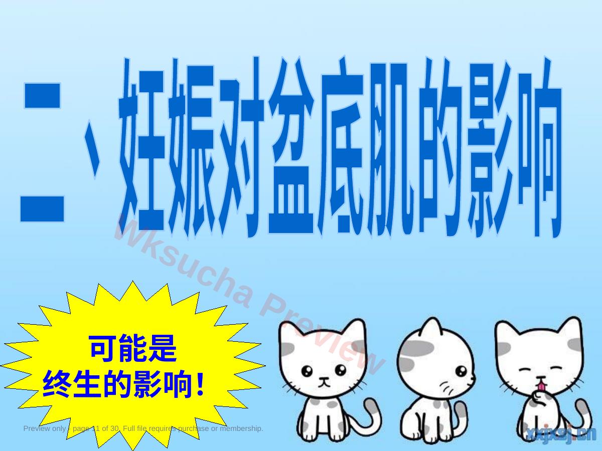 预览第 11 页