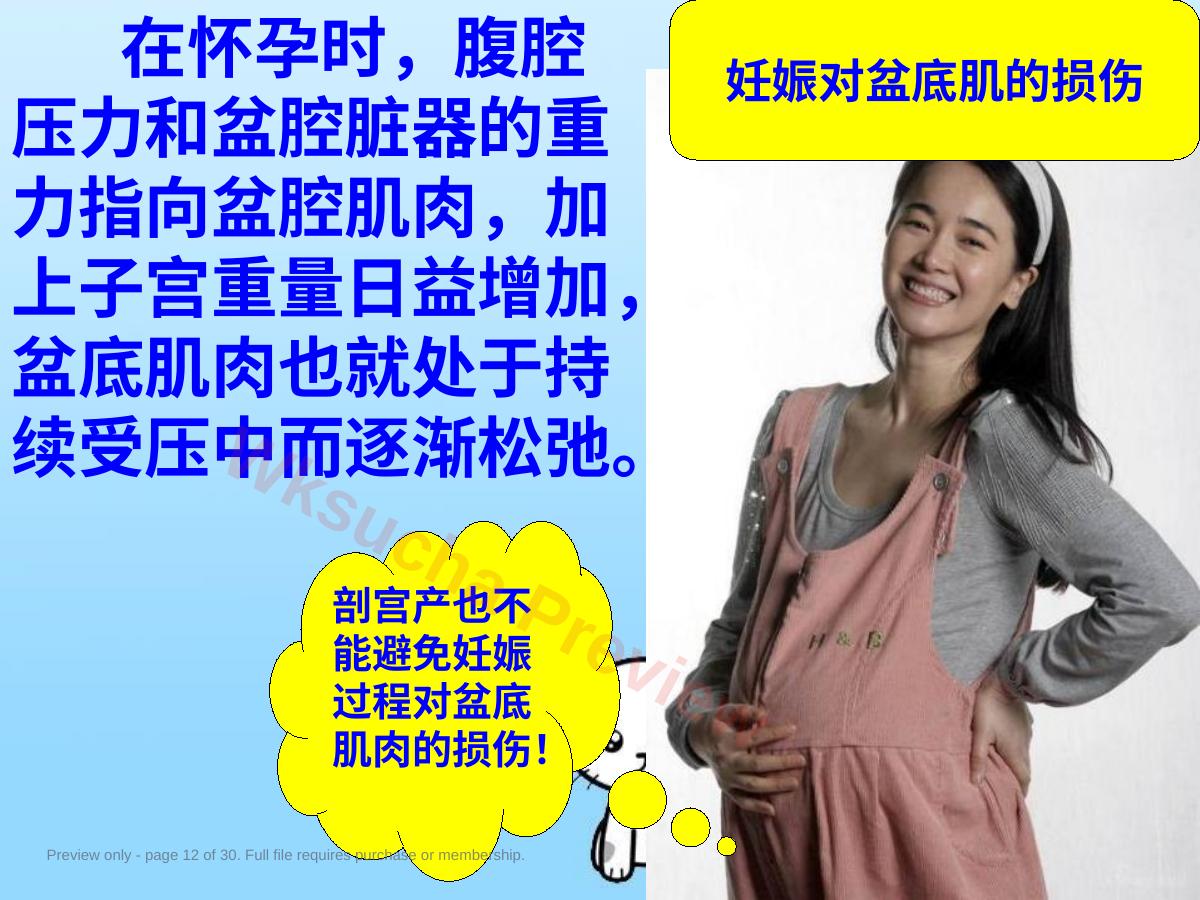 预览第 12 页