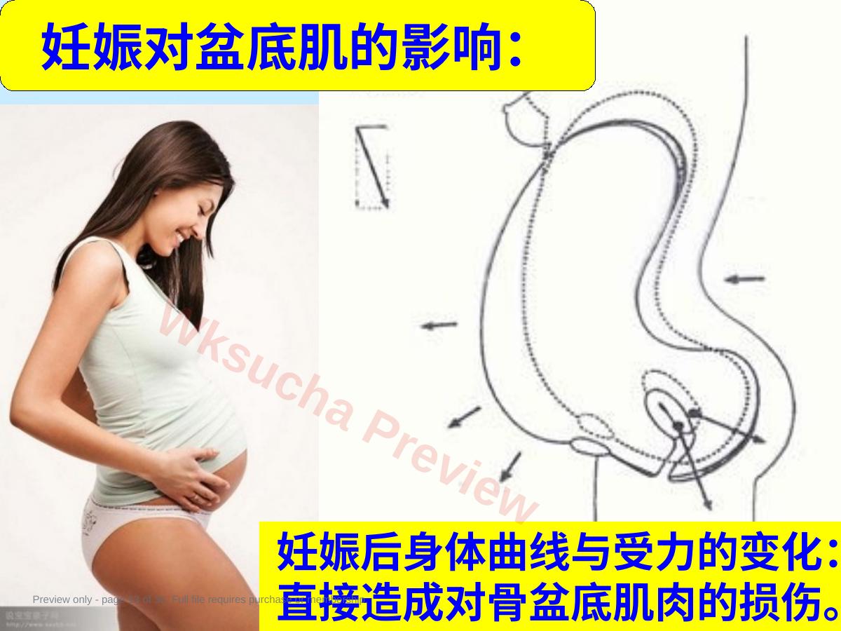 预览第 13 页