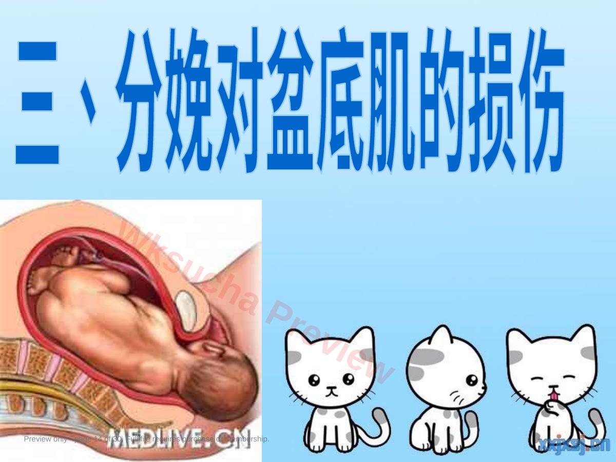 预览第 14 页