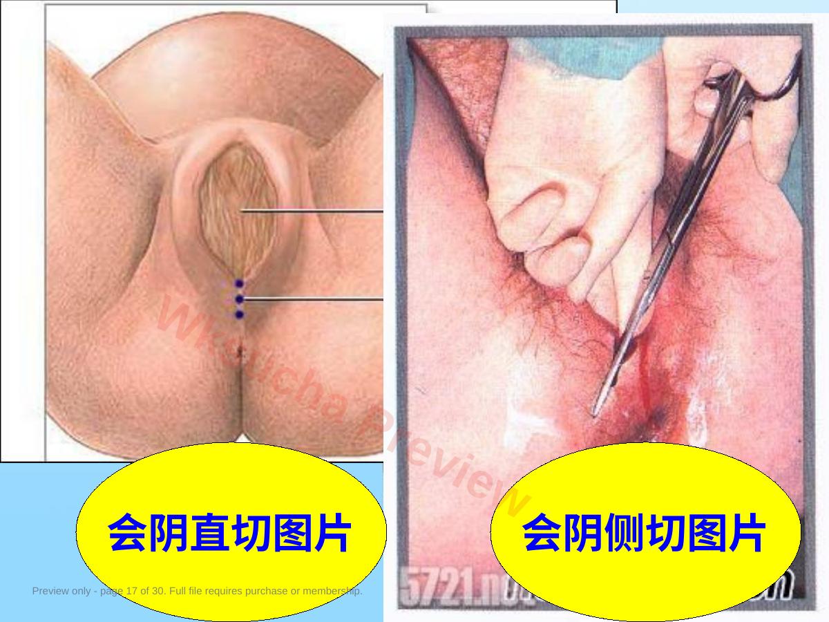 预览第 17 页