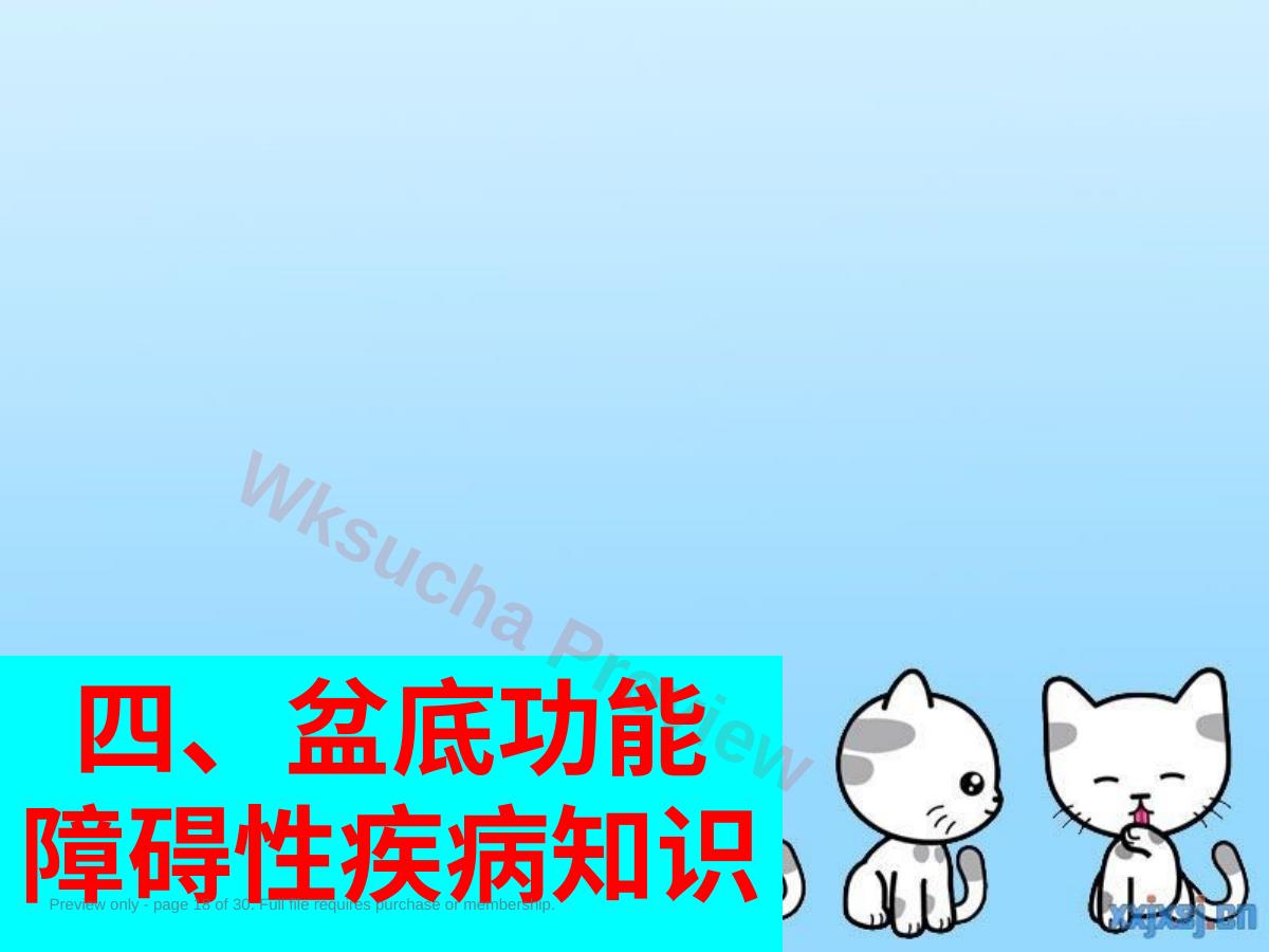 预览第 18 页