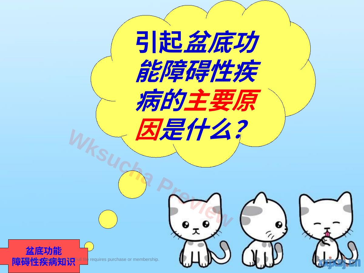 预览第 19 页