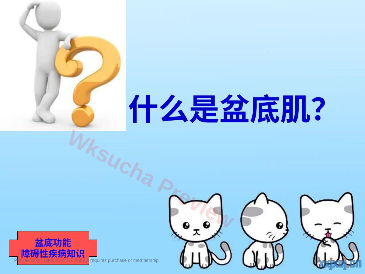 预览第 21 页