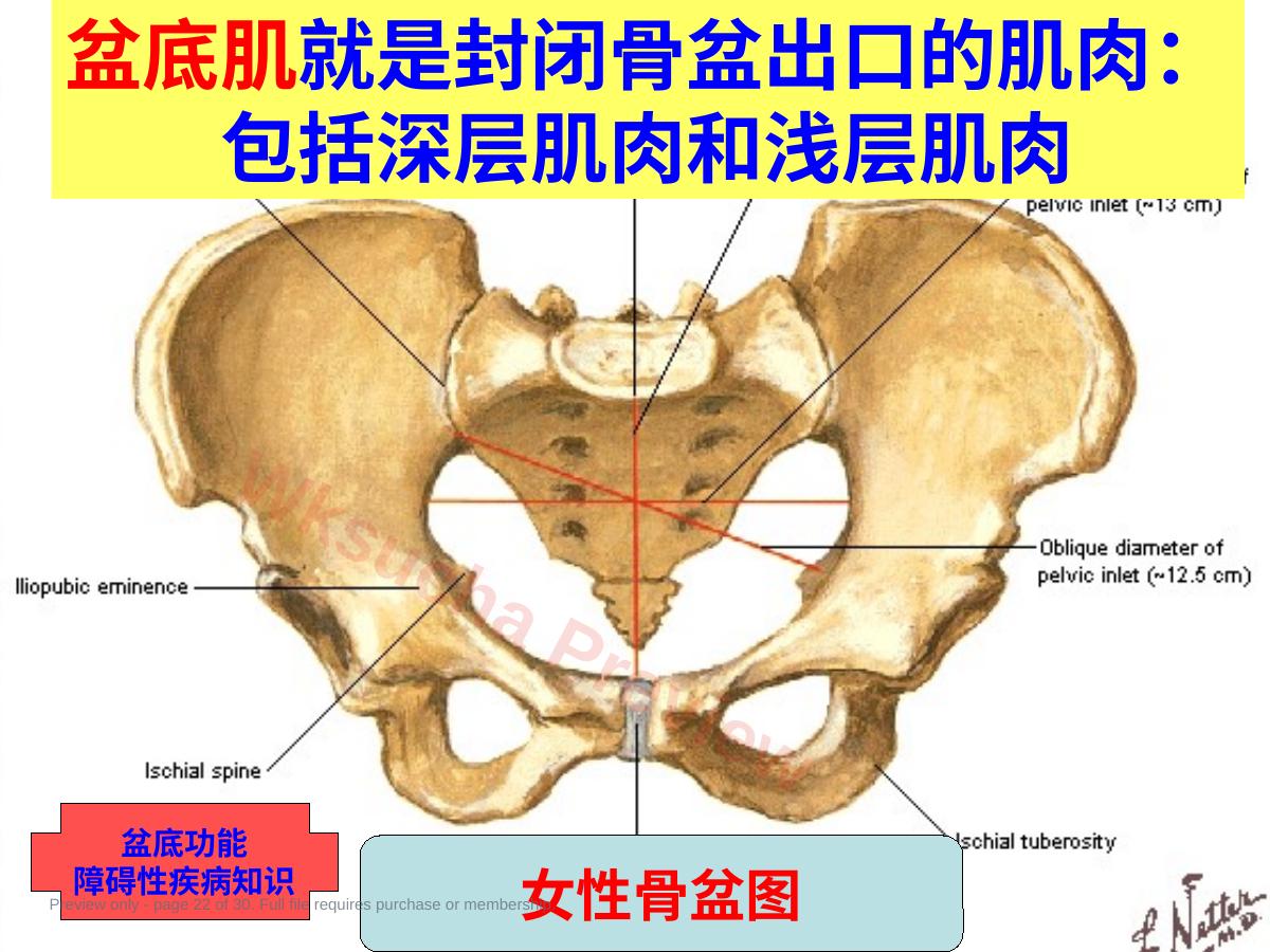 预览第 22 页