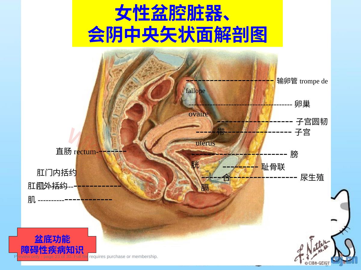 预览第 23 页