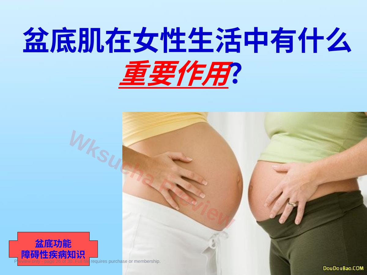 预览第 26 页