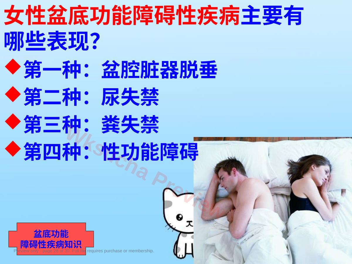预览第 28 页