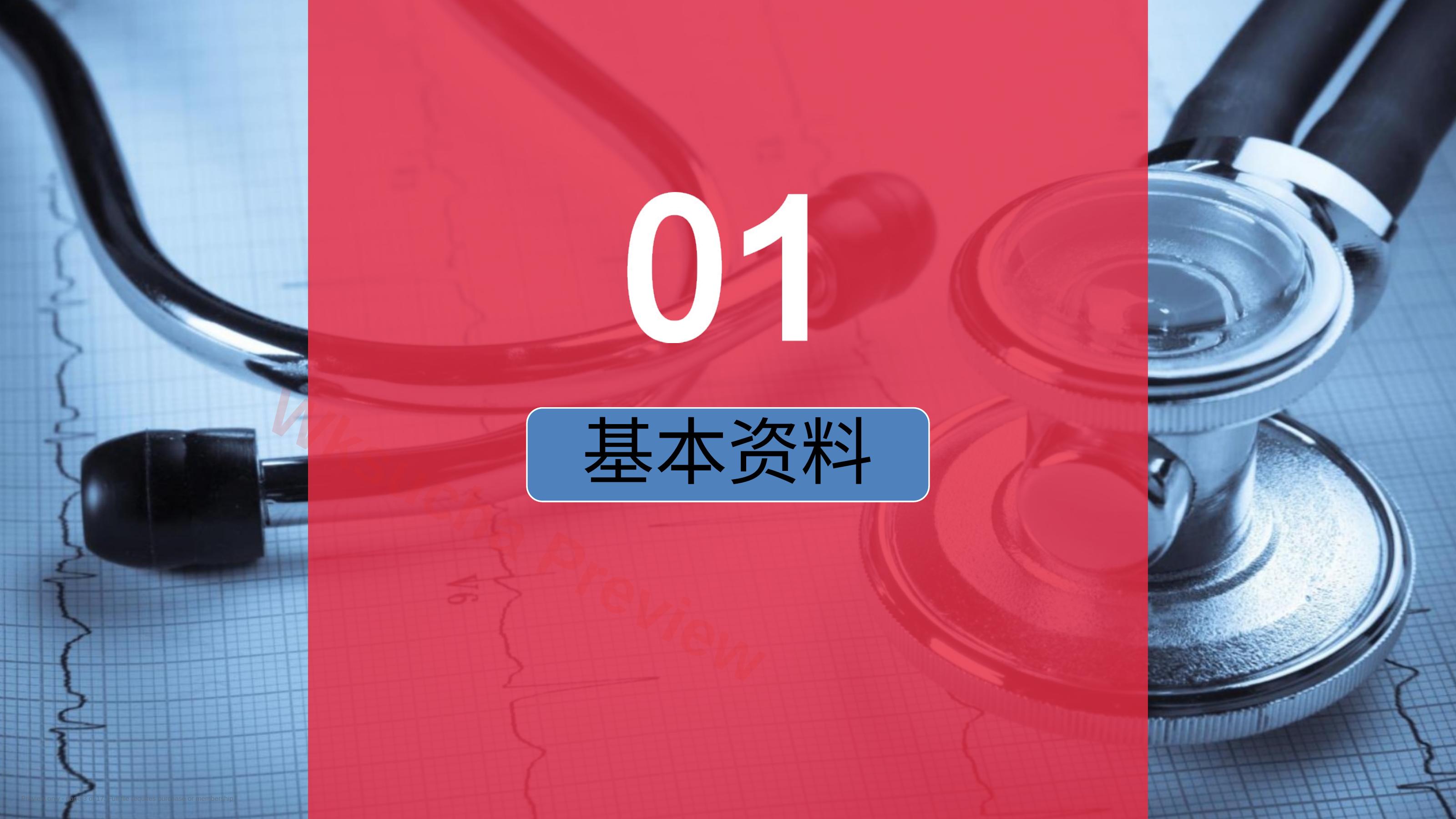 预览第 3 页
