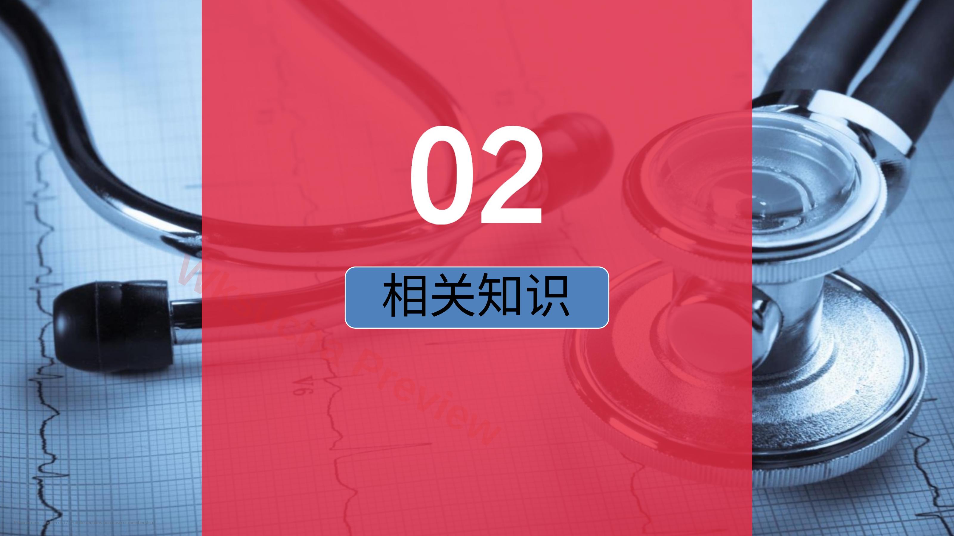 预览第 5 页