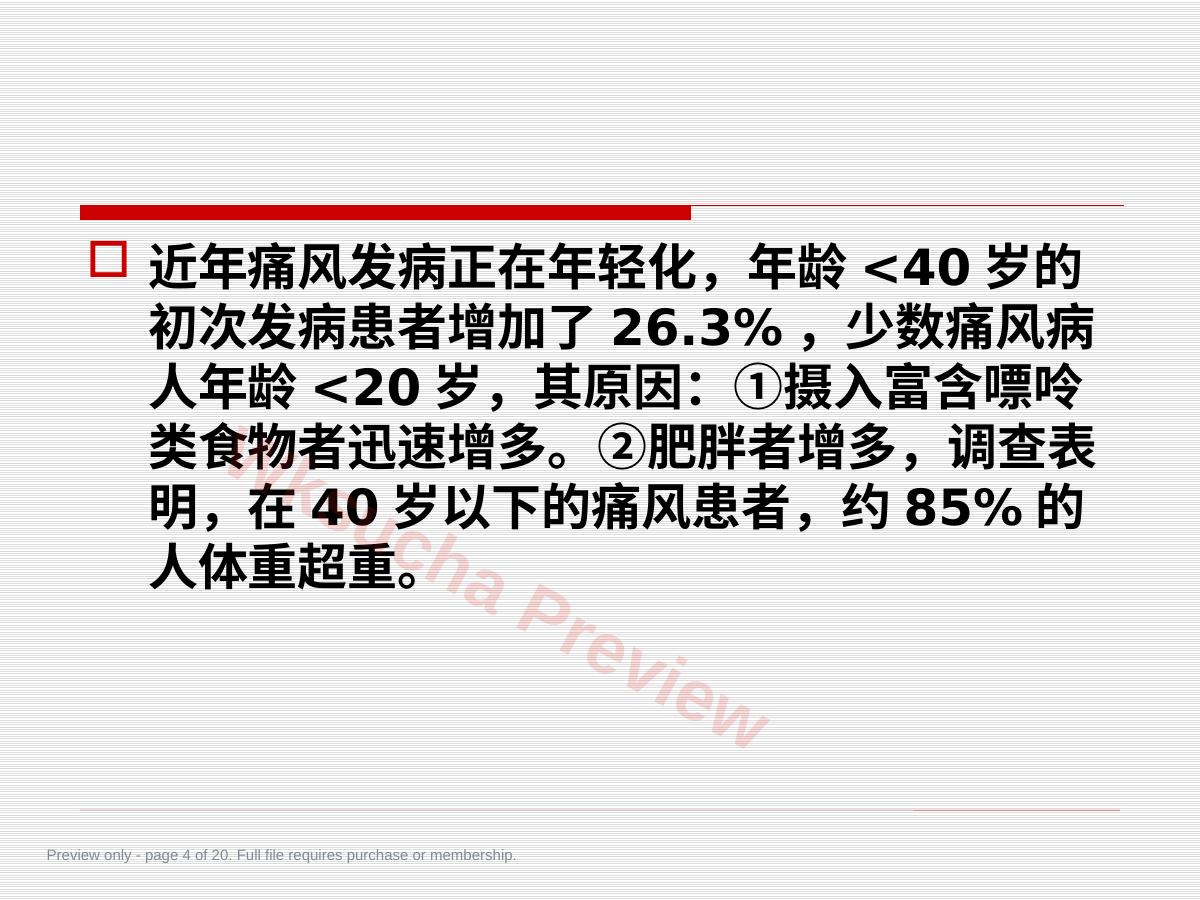 预览第 4 页