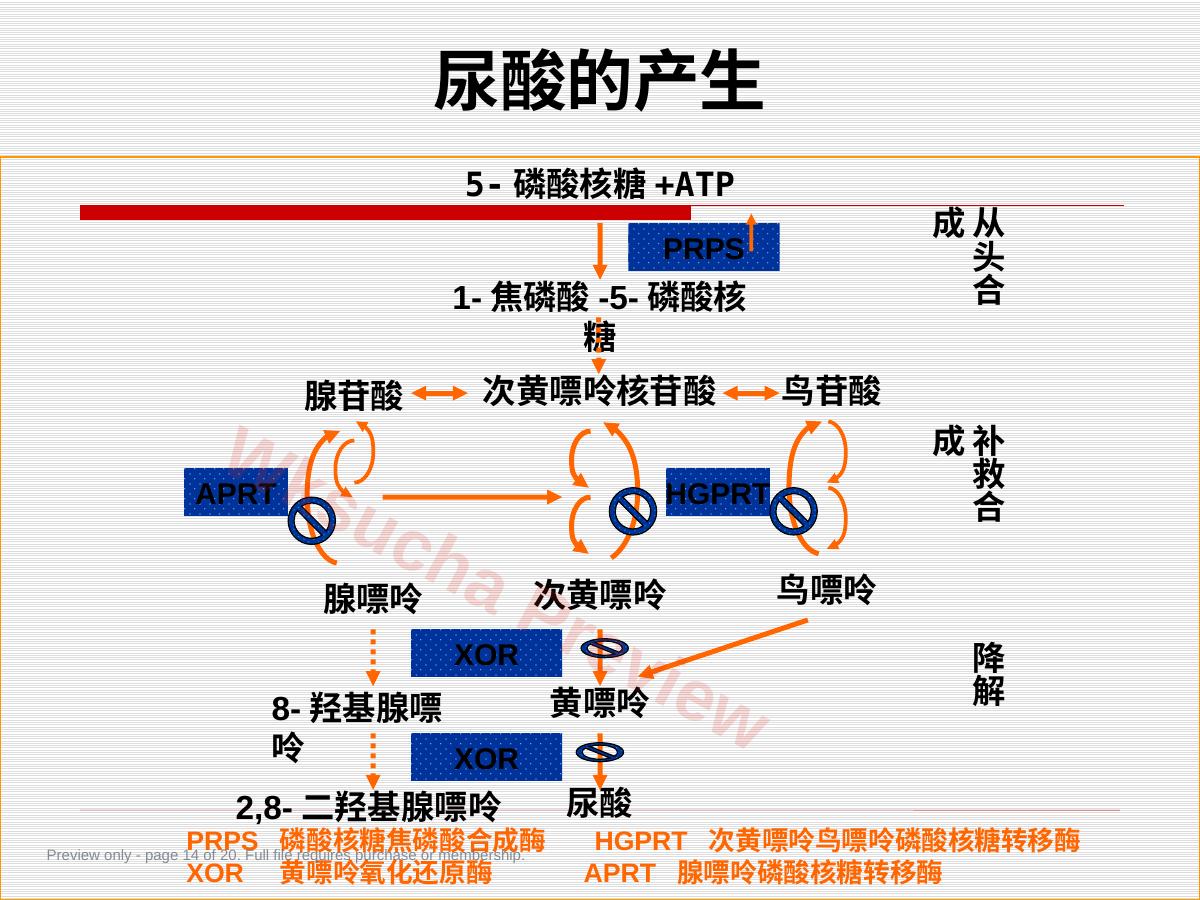 预览第 14 页