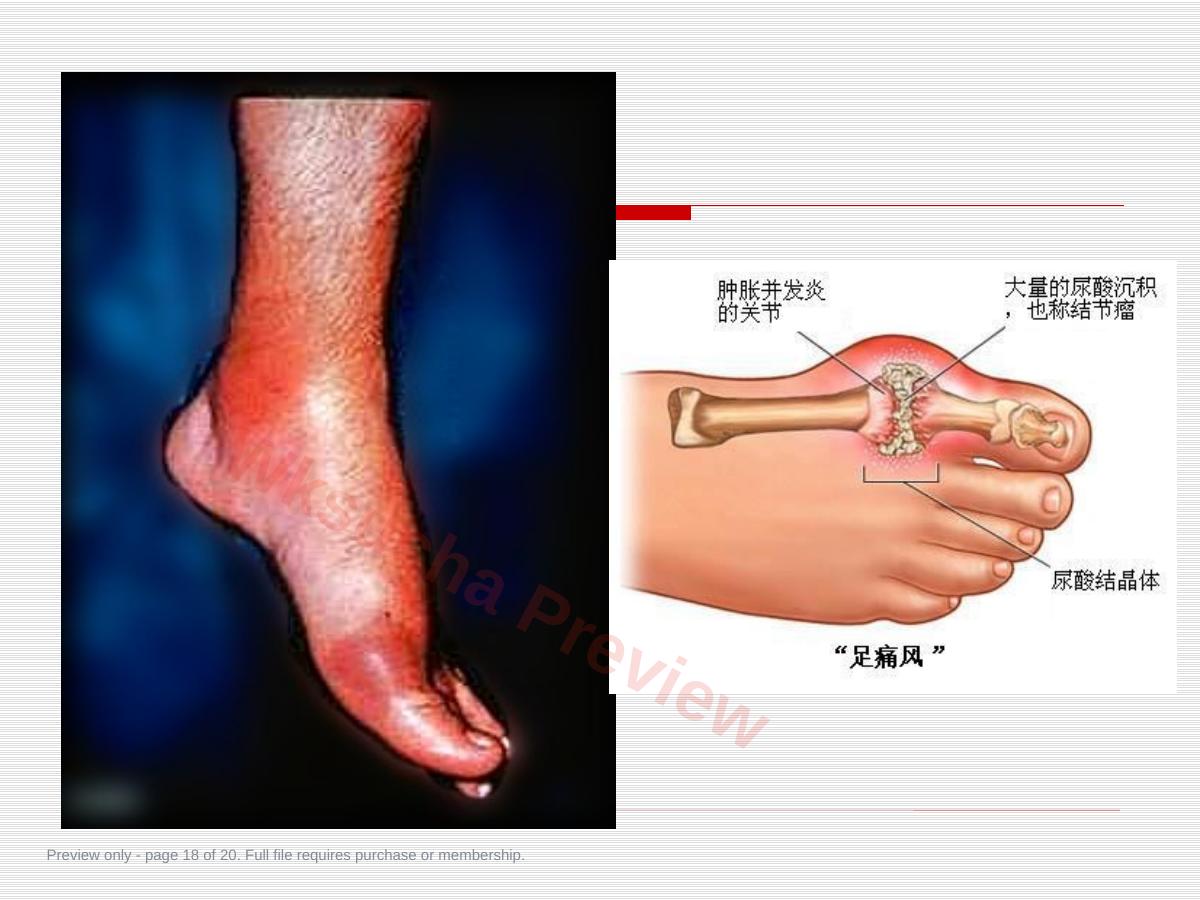 预览第 18 页